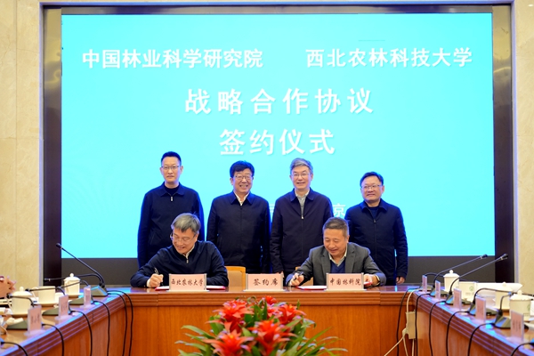 d4cc8f2634ee4c10a4e4f11bc1995536.jpg 2.jpg