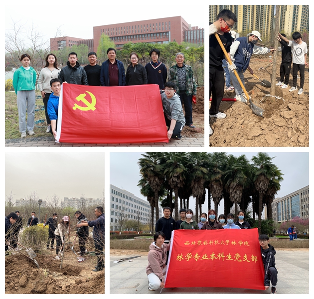 3ebf27fe8f7849b781e99db35f5a8c30.jpg 植树.jpg